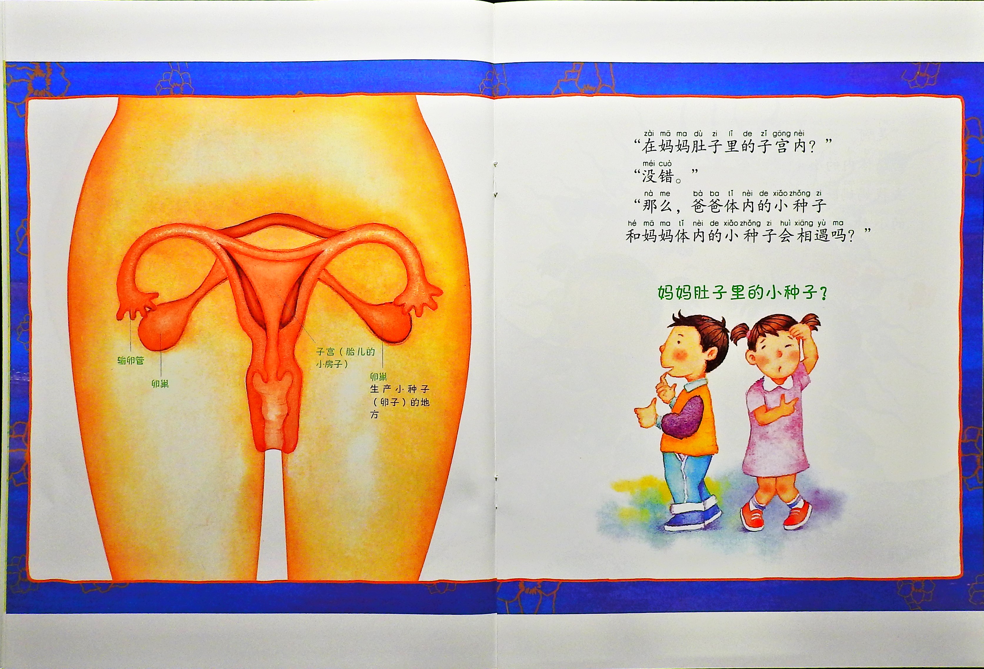 宝宝是怎么出生的？ (06),绘本,绘本故事,绘本阅读,故事书,童书,图画书,课外阅读